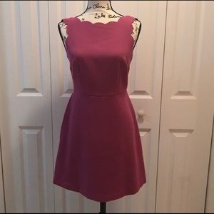 LOFT Scalloped Bodice Dress